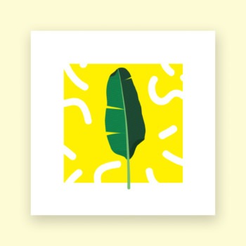 Feuille de bananier