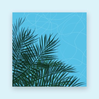 Piscine à l’ombre du palmier n°1