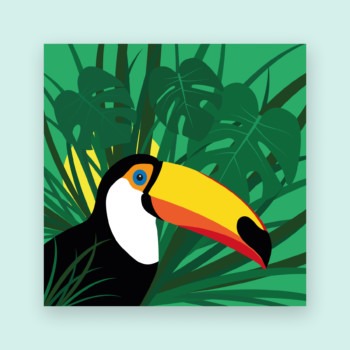 Toucan tropicool